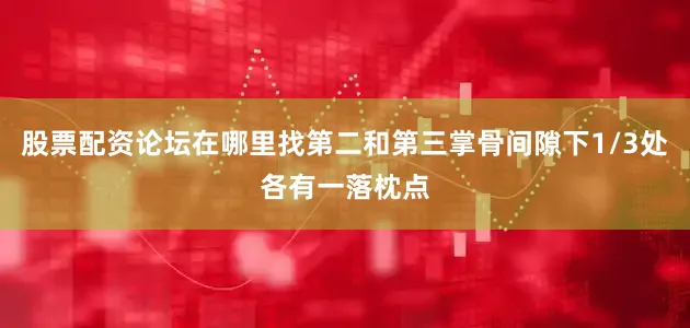 股票配资论坛在哪里找第二和第三掌骨间隙下1/3处各有一落枕点