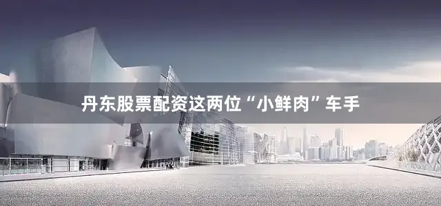丹东股票配资这两位“小鲜肉”车手