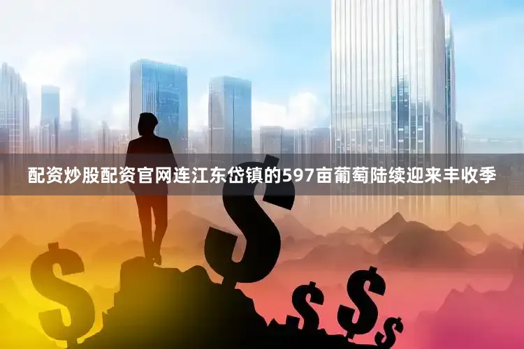 配资炒股配资官网连江东岱镇的597亩葡萄陆续迎来丰收季