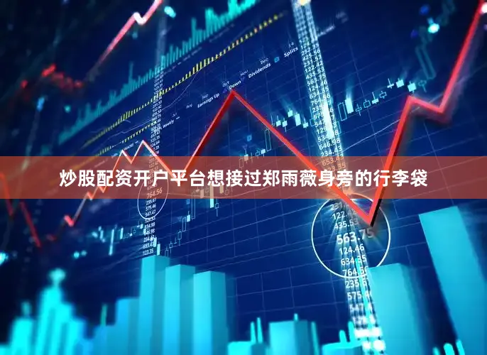 炒股配资开户平台想接过郑雨薇身旁的行李袋